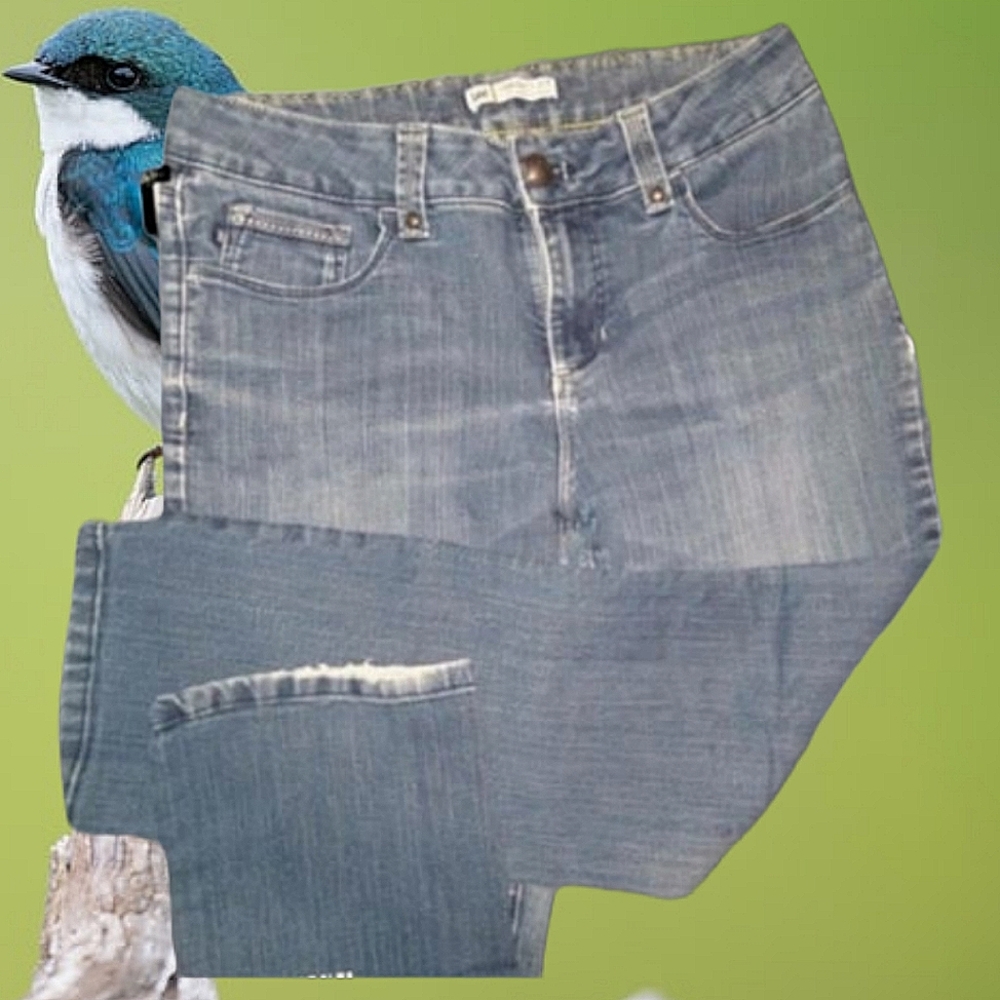 LEE | Perfect Fit Stretch Size 12
